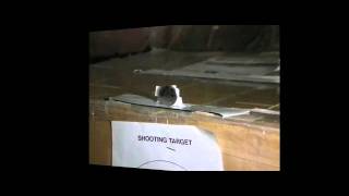 Amos Airsoft: PDI VSR-10 Target Shooting!