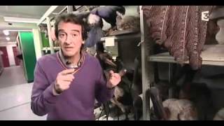 C'est pas sorcier, De Darwin à la génétique