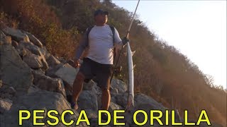 PESCA DE ORILLA, BARRA DE POTOSI