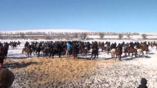 Кокпар Тулкибас Шымыр Галым 1-бөлім