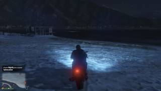 "Туса на берегу озера" - GTA 5 Online (PC)