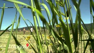 Látogató 2015_06_15 Szentegyháza