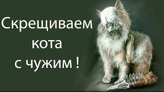 Скрещиваем кота с чужим ! ( Mutant fighting cup 2 )