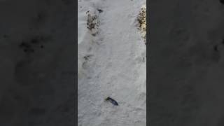 Нападение маньяка!!!!!   xD