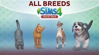 Overview of ALL BREEDS / The Sims 4 Cats & Dogs