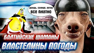 ПО ЗАВЕТАМ ЧИПОЛЛИНО, или ПРИБАЛТЫ наносят сокрушительный удар по тоталитаризму..