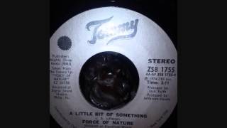 FORCE OF NATURE..   A LITTLE BIT OF SOMETHING  .. 45T 1974