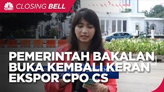 Pemerintah Beri Sinyal Buka Kembali Keran Ekspor CPO CS