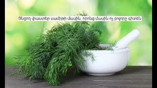 Զարմանալի փաստեր սամիթի մասին, որոնց մասին ոչ բոլորը գիտեն