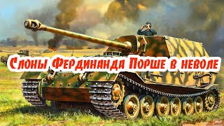 Слоны Фердинанда Порше в неволе
