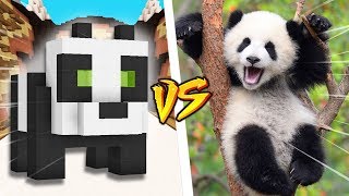 SŁODZIUTKA PANDA ? ? BELLA VS VITO! MINECRAFT BUILD BATTLE #1