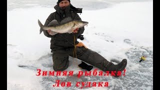 Ловля судака, окуня, щуки на Волге на балансир, видео. Зимняя рыбалка. Хардкор.