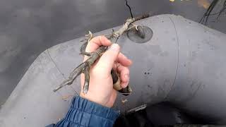 Заряжаем жерлицу Октябрь 2018.#Pike on live bait.Summer fishing.Russian fishing.
