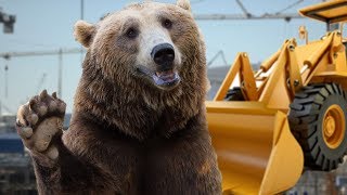 Did Russia Destroy The Environment For The Olympics?