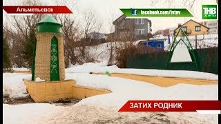 Жители Альметьевска встали на защиту городского родника | ТНВ