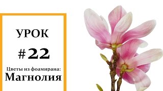 Магнолия мастер класс, Фоамиран цветы, Мастер класс из фоамирана Foam Flouwers