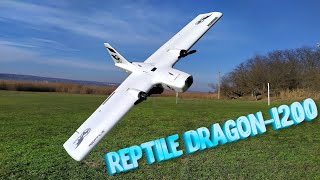 REPTILE DRAGON-1200 Тесты фанового крыла!
