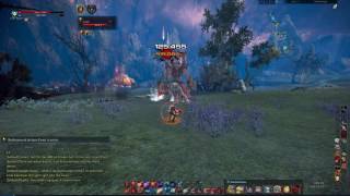 Tera island of dawn bams archer pov