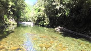Fly Fishing South Island, New Zealand