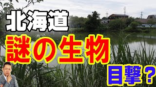【インタビュー】北海道の謎の生物ユーラップの怪物　ATL4th46