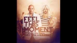 Pitbull ft. Christina Aguiera - Feel This Moment