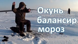 Ловим окуня на балансир в мороз
