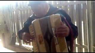Tarabana si Acordeon (Ady si Lae Tiganu')