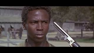 Black Intelligence = White Savagery - Skin Game (1971)