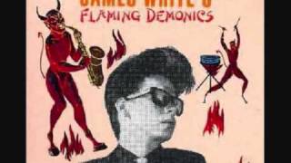 James White and the Blacks - The Natives are Restless
