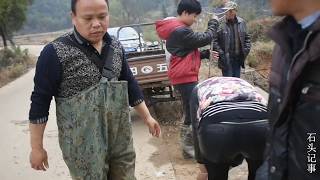 【石頭記事】农村大叔下水，捕到了几条大货，引来很多村民的围观，这下火了