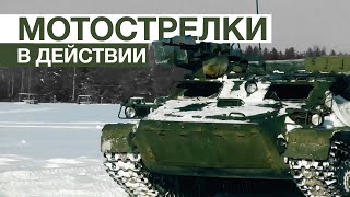 Масштабные учения мотострелков в Ленинградской области — видео