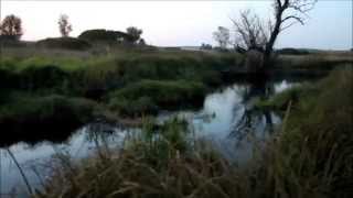 охота на бобра для новичков.hunting for a beaver