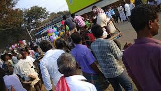 Pongal Festival (  Mattu Pongal )