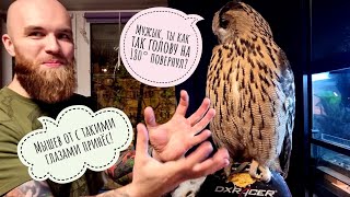 Сова Ёль терпит странного гостя. Руки не суй - куси не казённые!