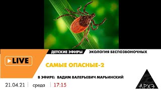 Детский эфир "Самые опасные-2" рубрики "Экология беспозвоночных"