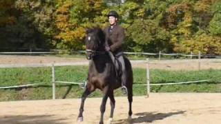 Flying changes - one hand riding 10/2010