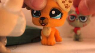LPS CHRISTMAS MOVIE:новый год у Кэт)
