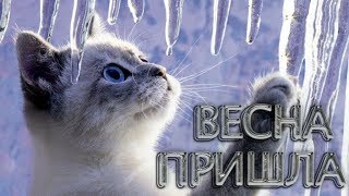 ВЕСНА. С ВЕСНОЙ вас, друзья. Красивая музыкальная видео открытка ВЕСНА ПРИШЛА.