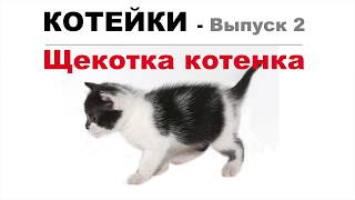 ЩЕКОТКА КОТЕНКА. КОТЕЙКИ - Выпуск 2