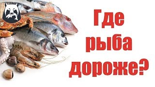 РУССКАЯ РЫБАЛКА 4! КАК ПРОДАТЬ РЫБУ ДОРОЖЕ?