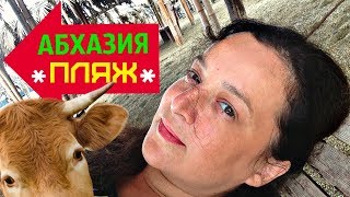 АБХАЗИЯ 2018 ? ПЛЯЖ в ПИЦУНДЕ (РЫБЗАВОД) /// КЕМПИНГ и ОТЕЛИ ПРЯМ НА ПЛЯЖЕ!!!