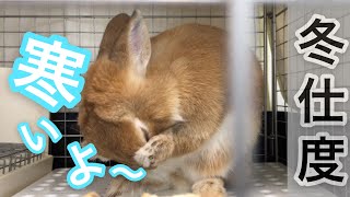 10月からのうさぎ寒さ対策はこんな感じ #248
