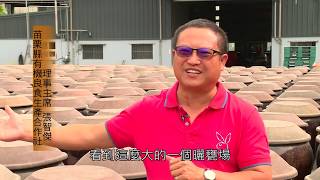 國內稀有❗台灣有機黑豆醬油❗甘香醇
