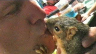 Coolest Pet Squirrel