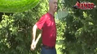 Поразминать-почесать
