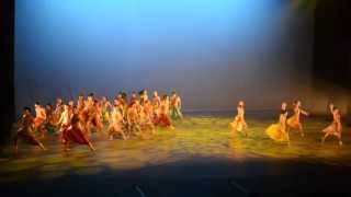 PARADISE - Nacional 2013