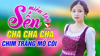 CHIM TRẮNG MỒ CÔI,ĐỨT TỪNG ĐOẠN RUỘT - LK Cha Cha Cha SẾN Miền Tây - Dân Ca Miền Tây 2020 Tuyển Chọn