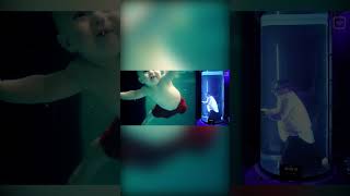 Как работает нырятельный рефлекс #veritasium #vertdider #наука