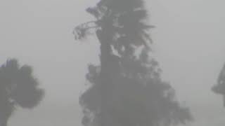 Ураган «Ханна» в Техасе