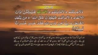 An Nisa 004 [119] HD Quran tilawat Recitation Learning word  By word Surah 4 - Chapter 4